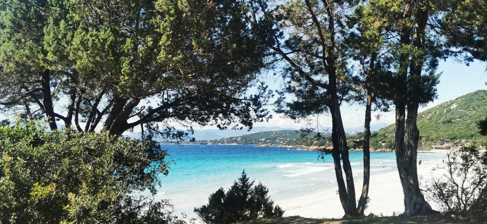 Studio Avec Terasse Vue Mer Porticcio (Corsica) Exterior foto